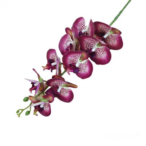 RAMITO ORQUIDEAS