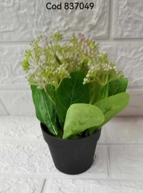 PLANTA EN MACETA 7.6*16CM