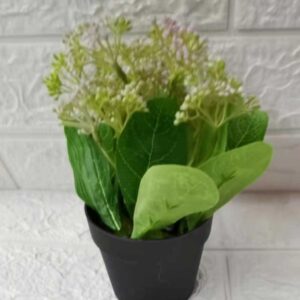 PLANTA EN MACETA 7.6*16CM