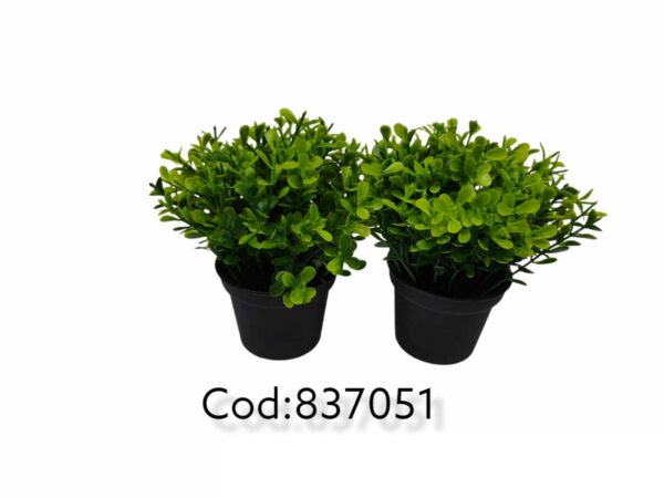 PLANTA CON MACETERO #341 5.5*13CM
