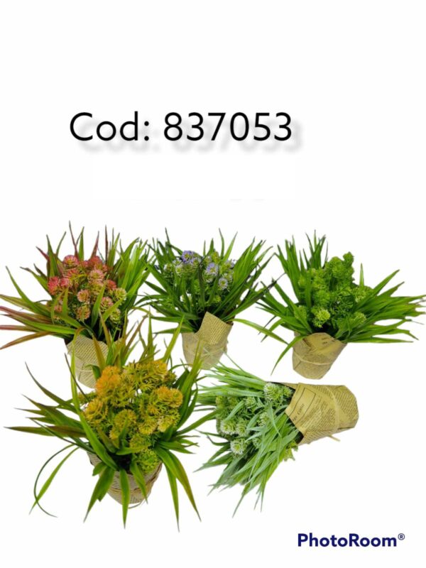 PLANTA CON MACETERO #23443 8*21CM
