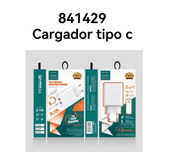CARGADOR COMPLETO TIPO C CX170(240)