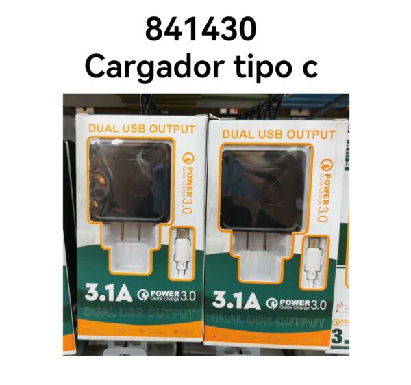 CARGADOR COMPLETO TIPO C CX110(240)