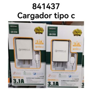 CARGADOR COMPLETO TIPO CX100(240)