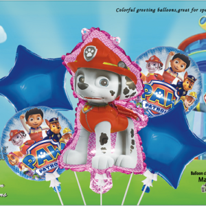 SET DE GLOBOS PAW PATROL TZ-K5011(300)