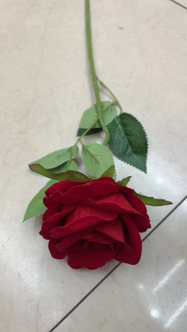 ROSA 1 PCS(1200)