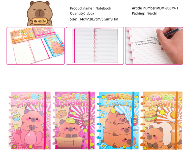 LIBRETA MD-95679-1A5(96)