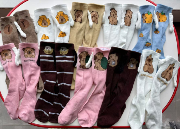 MEDIAS CAPYBARA 12PCSE(600)