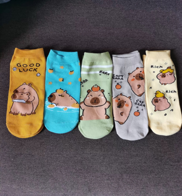 MEDIAS CORTA CAPYBARA 12PCS(1200)