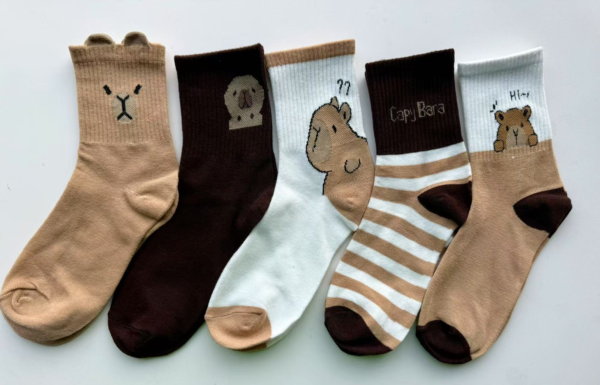 MEDIAS CAPYBARA 12PCS(600)