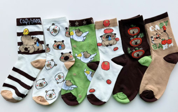 MEDIAS CAPYBARA 12PCS(600)