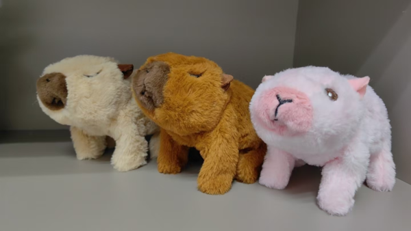 PELUCHE CON BATERIA MOVIBLE(144)