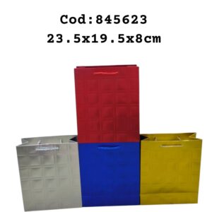 Bolsa de Regalo Colores Surtidos 23*5*19.5*8 Cm (720)