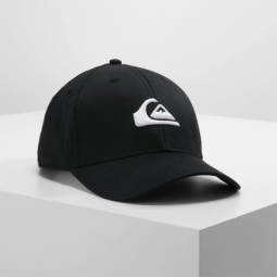 gorra (300)