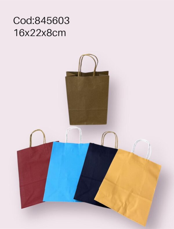 Bolsa de Regalo 16*22*8 Cm  (1200)