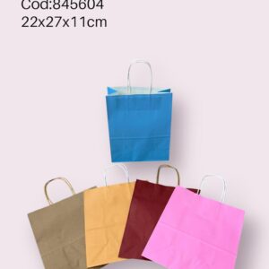 Bolsa de Regalo  22*27*11 Cm   (960)