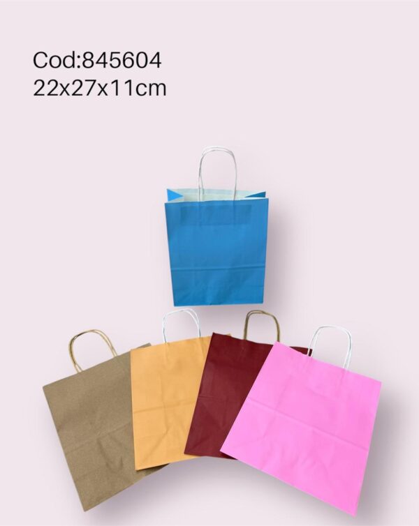 Bolsa de Regalo  22*27*11 Cm   (960)