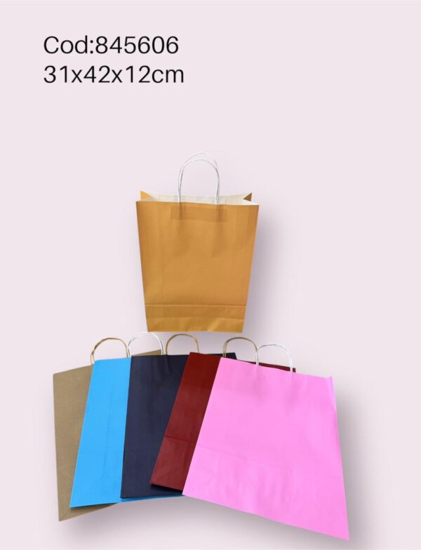 Bolsa de Regalo31*42*12 Cm (600)