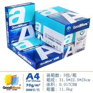 HOJAS A4 500PCNI(5)
