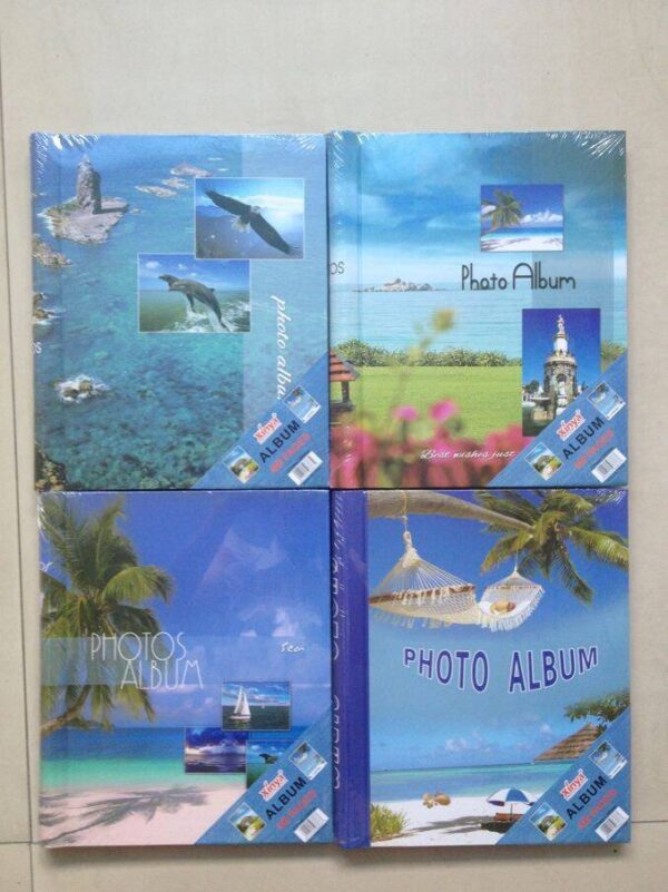 Álbum de fotos(50)
