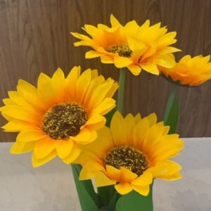 Girasol(240)