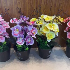Orquídea mariposa(96)