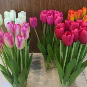 Tulipán(108)