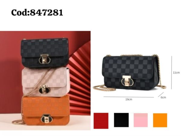 Bolso de mujer(60)
