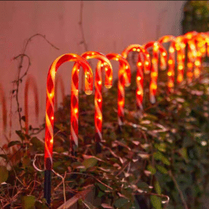 25CM DECORATIVO JARDIN NAVIDENO(250)