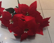 FLOR DECORATIVO 50 (360)