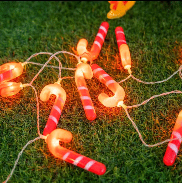 2.5M DE LUZ DECORATIVA NAVIDENA (300)