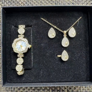 SET DE RELOG Y ACCESORIOS (120)