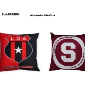 HOGAR ALMOHADAS 43x43(50)