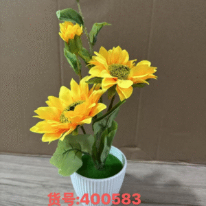 GIRASON EN MASETA (144)