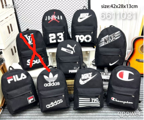 BOLSOS VARIADOS(120)