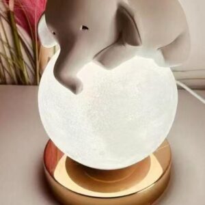 HOGAR ADORNO LUZ LED (24)