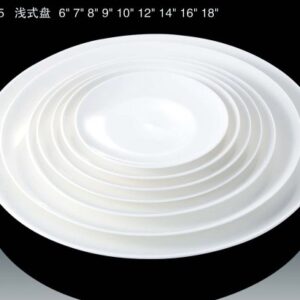 PLATO PORCELENA 10" (36)