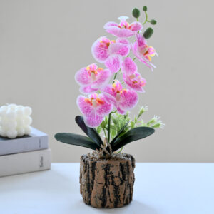 JARDIN MACETA DE ORQUIDEA 30CM(60) UND