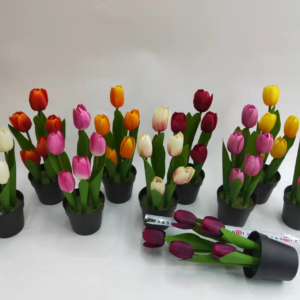 MACETA DE TULIPAN(144) UND