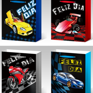 BOLSA DE REGALO FD1347L 40*30*12CM(360) UND