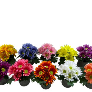 FLORES MACETA MANZANILLA(144)