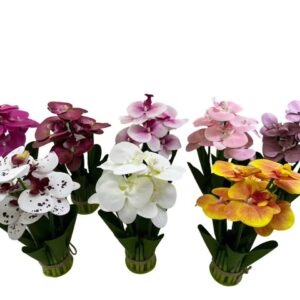 FLORES MACETA ORQUIDIAS(288)