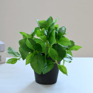 FLORES MACETA 18CM/9CM/8,5CM(96)