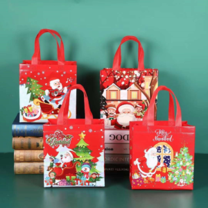 BOLSA REGALO 22X23X11CM(1200)