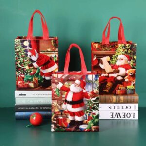 BOLSA REGALO 22X23X11CM(1200)