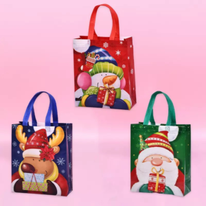 BOLSA REGALO 26X32X10CM(1200)
