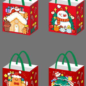 BOLSA REGALO 22X23X11CM(1200)