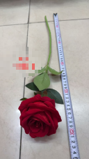 ROSA 50CM (1200)